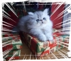 My present