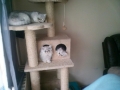 Tiffany and her babies